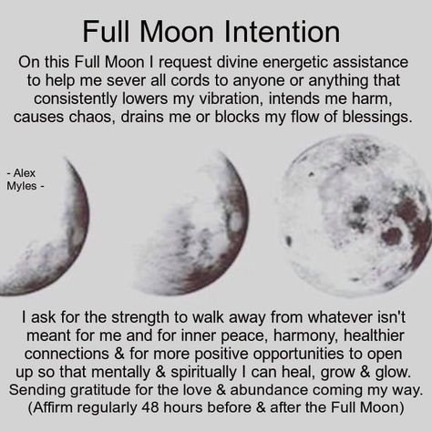 Full Moon Spells, Moon Spells, Moon Reading, Moon Quotes, New Moon Rituals, Moon Journal, Full Moon Ritual, Moon Calendar, Phases Of The Moon