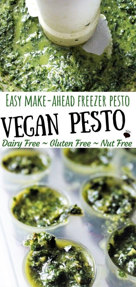 An easy vegan pesto recipe that is nut free, gluten free, dairy free, and easy to make ahead and freeze in perfect amounts for all you vegan recipes that call for basil or pesto.  Make it with or without nuts.  Turn it into a delicious vegan pesto pasta sauce or add it to soups or Italian dishes. #veganpesto #dairyfreepesto #veganglutenfree #thehiddenveggies via @https://www.pinterest.com/gfveganmeals/ Pasta Sauce Dairy Free, Easy Vegan Pesto, Vegan Pesto Recipe, Nut Free Pesto, Dairy Free Pesto, Basil Pesto Recipes, Dairy Free Pasta, Pasta Pesto, Vegan Pesto