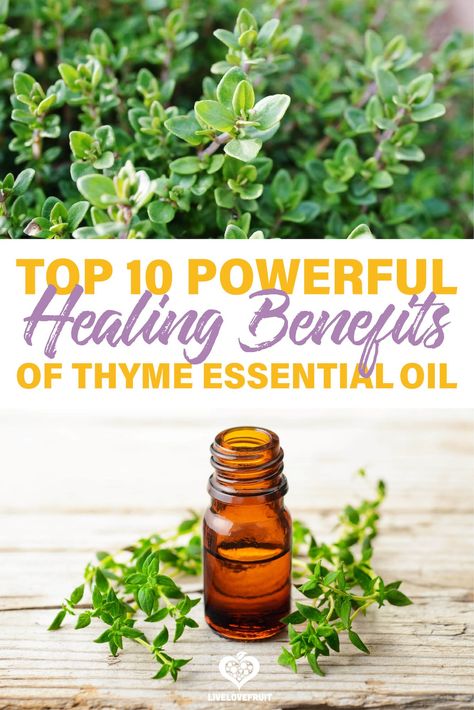 Thyme Oil Benefits, Thyme Essential Oil Uses, Benefits Of Thyme, Health Benefits Of Thyme, Thyme Benefits, Natural Medicines, Thyme Herb, Herbal Remedies Recipes, Lung Health