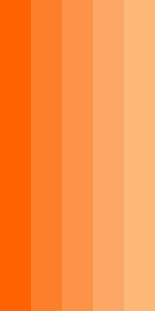 Orange Palette, Orange Color Schemes, Orange Color Palettes, Orange Creamsicle, Orange Paint, Orange Aesthetic, Color Codes, Color Palette Design, Aesthetic Colors