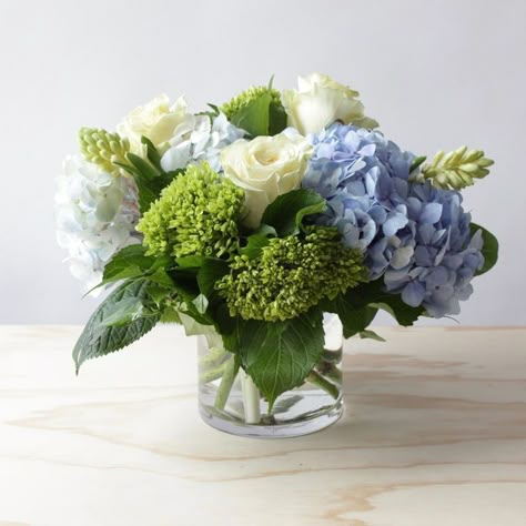 Meadow Breeze BD0 Blue Flower Arrangements, Hydrangea Varieties, Wedding Flower Guide, Fresh Wedding Flowers, Blue And White Flowers, Hydrangea Arrangements, Green Hydrangea, Flower Guide, בר מצווה