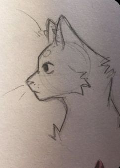 Cat Drawings Warrior Cats, Cats Paws Drawing, Cat Hissing Drawing, How I Draw Cats, Cat Faces Drawings, Cat Side Profile Drawing, Animal Art Reference, How To Draw Cat, Warrior Cats Base