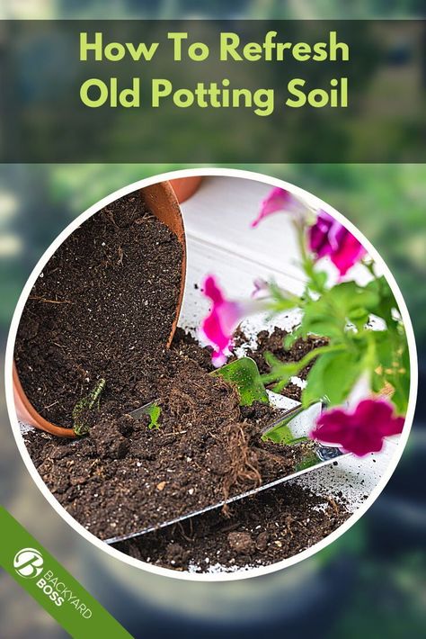 How To Make Loamy Soil, How To Revitalize Potting Soil, Reusing Potting Soil, How To Reuse Potting Soil, Making Potting Soil, Making Your Own Potting Soil, How To Reuse Old Potting Soil, Potting Soil Storage, Potting Soil Mix Recipe