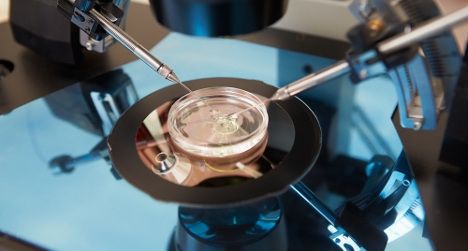 Embryo mix-up couple to launch custody battle. Embryo Donation, Ivf Procedure, Ivf Cost, Fertility Doctor, Ivf Cycle, Egg Donation, Ivf Clinic, Ivf Success, Ivf Center