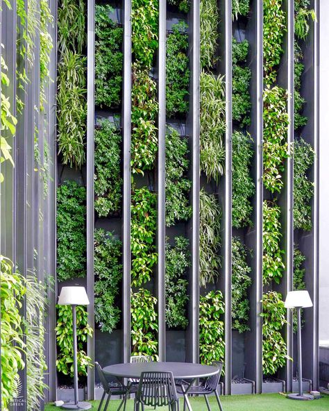 Terrace Green Wall, Small Vertical Garden, Sky Terrace, Vertical Green Wall, Vertikal Garden, Vertical Planting, Green Wall Design, Vertical Garden Design, Green Facade