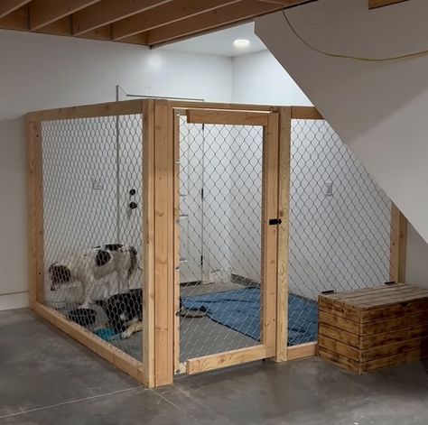 Dog Fence Ideas Indoor, Basement Dog Kennel Ideas Diy, Dog Crate In Garage, Dog Cage Repurpose, Dog Kennel Basement, Dog Area In Garage Diy, Diy Outdoor Kennels For Dogs, Diy Dog Kennels Indoor, Indoor Dog Kennel Room