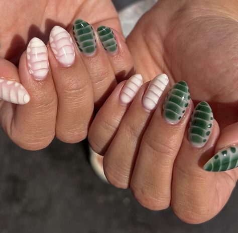 Green Snake Print Nails, Blooming Gel Croc Nails, Green Croc Print Nails, Green Blooming Gel Nails, Blooming Gel Ideas, Green Crocodile Nails, Fall Blooming Gel Nails, Short Croc Nails, Green Croc Nails