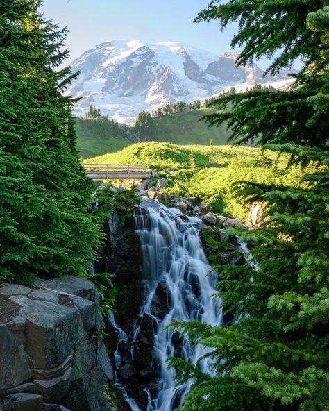 17 Breathtaking Hikes in Mount Rainier National Park, Washington - Renee Roaming Washington Mountains, Mt Rainier National Park, Washington Hikes, Washington Travel, National Park Road Trip, Mount Rainier National Park, Rainier National Park, North Cascades, National Parks Trip