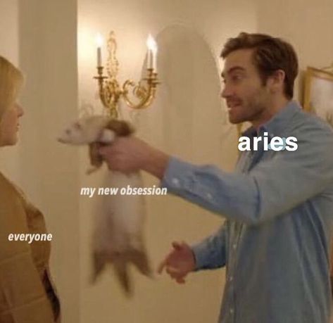 shitty aries memes on Instagram: “we’re so close to 700 followers omg  update: we hit it 🥳 cr: @yourlocalaries  #zodiacmemes  #ariesmemes  #zodiacsigns  #aries” Aries Funny, Aries Aesthetic, All About Aries, Aries Zodiac Facts, Today Horoscope, Aries Horoscope, Aries Facts, Zodiac Signs Aries, Zodiac Society