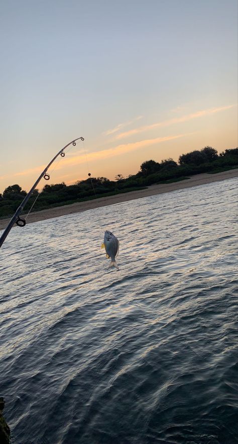 Fishing Lake Aesthetic, Pesca Aesthetic, Fishing Aesthetic, Fishing Pics, Beach Week, Fishing Lake, Summer Fishing, Fishing Photography, Summer Picture Poses