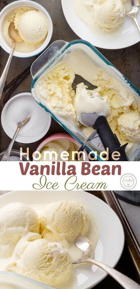 Homemade Vanilla Bean Ice Cream | http://thecookiewriter.com | @thecookiewriter | The best homemade desserts recipe that uses an ice cream maker (sorry no churn people!) This is all real creamy ice cream! Plus, the photography was so much fun! Homemade Vanilla Bean Ice Cream, Ice Cream From Scratch, Fabulous Desserts, Bean Ice Cream, Vanilla Ice Cream Recipe, Ice Cream Maker Recipes, Homemade Recipes Dessert, Homemade Vanilla Ice Cream, Homemade Ice Cream Recipes