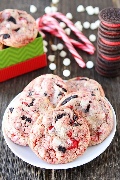 Oreo White Chocolate Pudding Peppermint Cookies Recipe on twopeasandtheirpod.com  Love these festive cookies! Oreo White Chocolate, White Chocolate Pudding, Peppermint Cookie Recipe, Chocolate Pudding Cookies, Peppermint Recipes, Cookie Exchange Recipes, Peppermint Christmas, Pudding Cookies, Festive Cookies