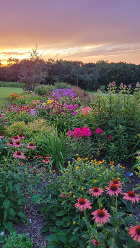 Wild Landscaping Ideas, Flower Garden Inspiration Backyards, Wild Flower Gardens Backyards, Wildflower Backyard Landscaping, Yard Full Of Flowers, Dream Flower Garden, Backyard Flower Garden Aesthetic, Wild Flower Farm, Wildflower Garden Ideas Backyards