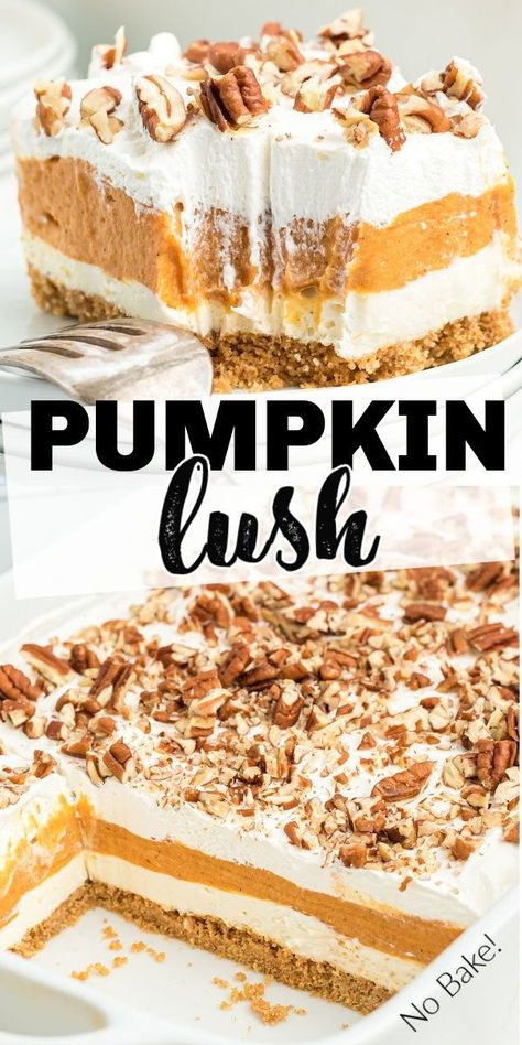 Creamy Layered Pumpkin Dessert, Pumpkin Cream Cheese Layered Dessert, Pumpkin 4 Layer Dessert, Pumpkin And Cream Cheese Desserts, Pumpkin Yum Yum, Pumpkin Delight Dessert Easy, Pumpkin Dessert With Graham Cracker Crust, Easy Pumpkin Deserts Recipes, Pumpkin Lust Dessert