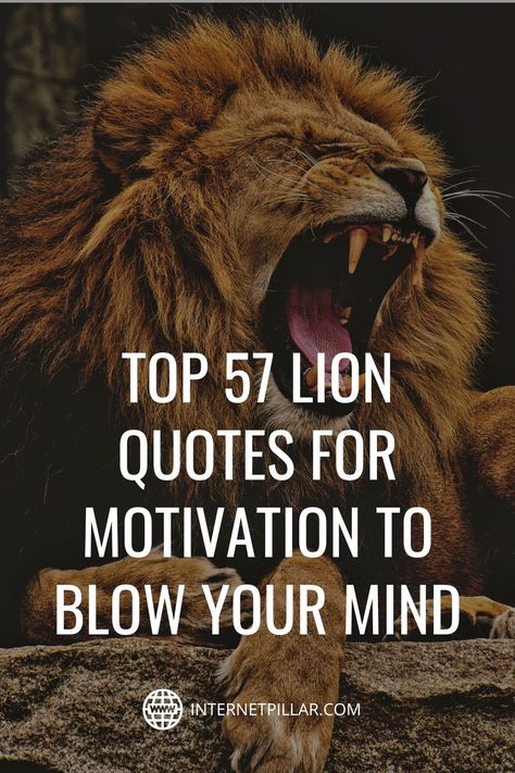 Quotes On Lion, Quotes With Lion Images, Lion Quotes Wallpaper, Lion Strength Quotes, Loin Quote, Quotes About Lions Strength, Lion Pride Quotes, Lion Tattoo Quotes, Lions Quotes Strength