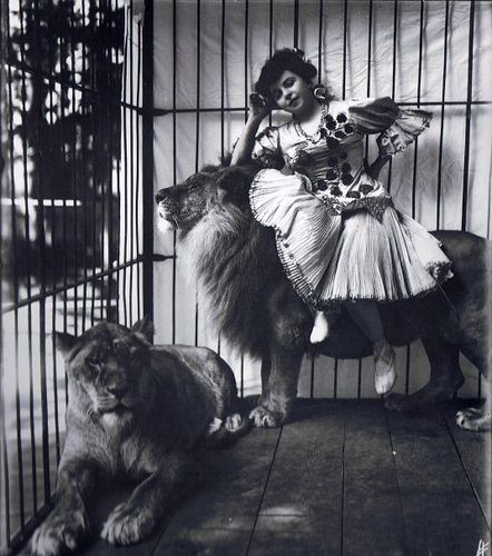 Circus - Lion Tamer by merrycapers Vintage Circus Photos, Cirque Vintage, Circus Lion, Old Circus, Circus Vintage, Circus Sideshow, Vintage Foto's, Circus Acts, Lion Tamer