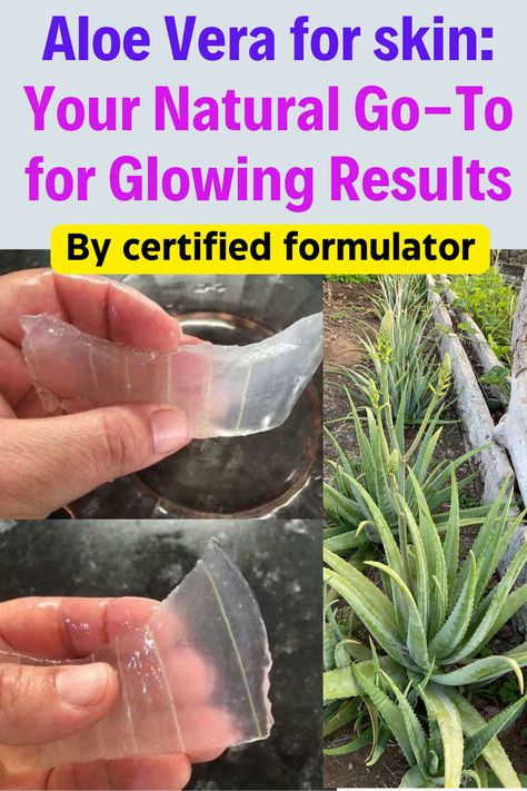 Professional demonstration of crystal clear aloe vera gel extraction process next to mature plant showing skincare preparation techniques. Homemade Aloe Vera Gel, Diy Aloe Vera Gel, Aloe Vera Recipes, Natural Aloe Vera Gel, Skin Recipes, Natural Mouthwash, Gum Inflammation, Aloe Vera Benefits, Aloe Vera For Skin