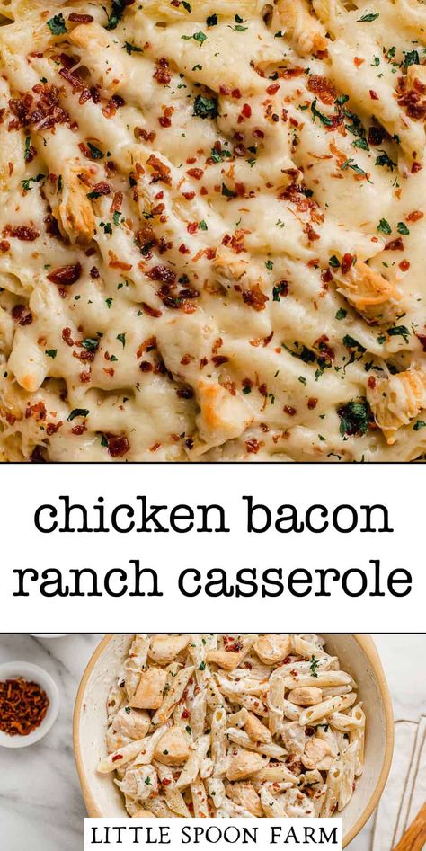 Picky Eaters Dinner, Bacon Ranch Casserole, Ranch Casserole, Easy Chicken Casserole Recipes, Chicken Recipes Easy, Chicken Bacon Ranch Pasta, Chicken Bacon Ranch Casserole, Chicken Bacon Ranch, Bacon Ranch