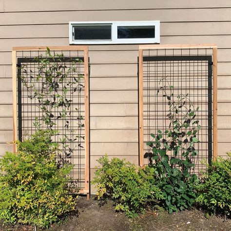 DIY Flower Trellis Wire Garden Trellis, Diy Wall Trellis Outdoor, Wall Mounted Trellis Outdoor, Hog Wire Trellis Diy, Hog Wire Trellis, Rose Trellis Ideas Diy, Wall Trellis Ideas, Free Standing Trellis, Fence Trellis Ideas