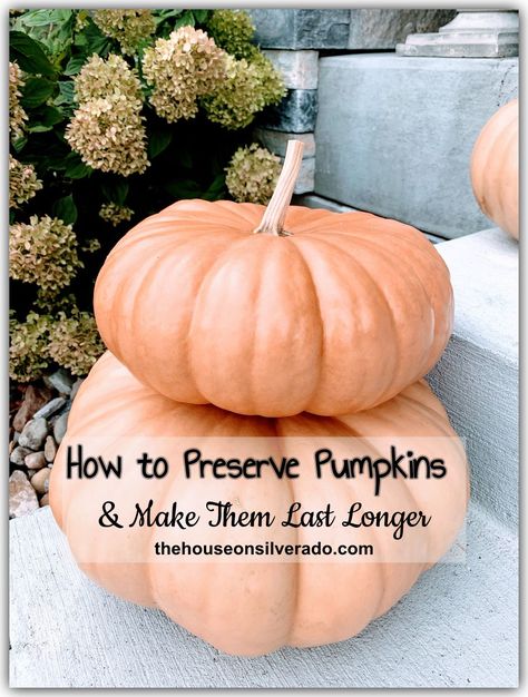 How To Preserve Pumpkins, Preserve Pumpkins, Preserving Pumpkins, Burlap Ribbon Wreaths, Carved Pumpkins, Porch Pumpkins, Beautiful Pumpkins, Painted Pumpkin, How To Make Pumpkin