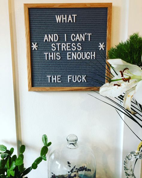 House Letter Board Quotes, Toy Story Letter Board, Witty Letter Board Quotes, Autumn Message Board, Funny Letter Boards For Home, Letterboard Quotes Funny Short, Wall Letter Board Quotes, Letter Board Signs Ideas, Message Board Ideas Funny