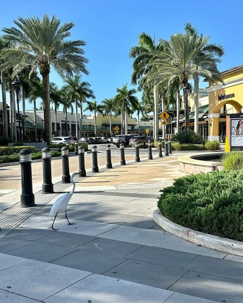 Did you know that Sawgrass Mills is: - the 11th largest mall in the United States - the largest single-story outlet mall in the U.S. - the largest shopping mall in Broward County (in Florida) - the second largest mall in Florida and the Miami metropolitan area after the Aventura Mall, and - the third largest shopping mall in the southeastern United States. Located in the city of Sunrise, this shopping mall is 2,370,610 square feet and has over 21 million annual visitors, making it one of the ... Sawgrass Mills Mall, Magnolia Promenade, Aventura Mall, Fake Photos, Outlet Mall, Family Friendly Resorts, Florida Resorts, Vacation Tops, Kid Friendly Activities