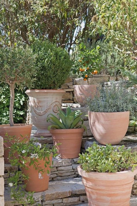 Mediterranean Pots, Georgian Garden, Mediterranean Garden Design, Provence Garden, Terrasse Design, Courtyard Gardens Design, Potted Plants Outdoor, Italy Landscape, Italian Garden