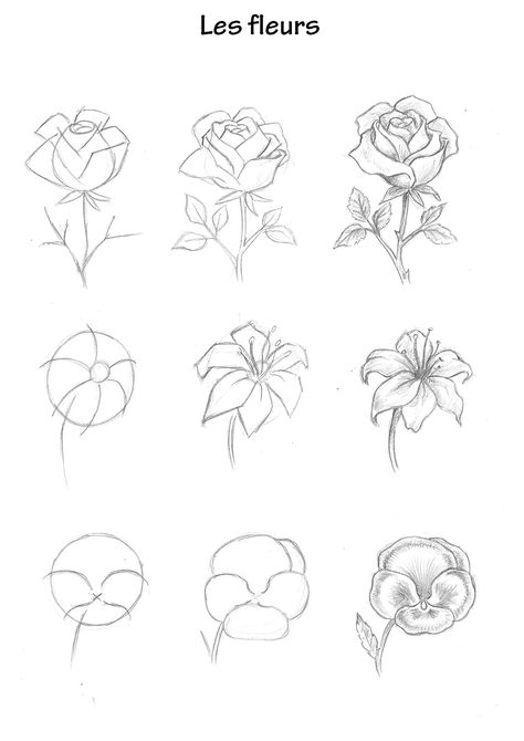 #tattoo #tattoos #inked #tattooart #tattooed #tattooideas #tattoodesign #tattooinspiration #tattoosleeve #tattooflash #inkedgirls #tattooedwomen  #InkLaughs  #TattooFails How Draw Flowers, How To Draw Realistic Flowers, How To Sketch Flowers, How To Draw Rose, Basic Flower Drawing, Easy Flower Drawings Step By Step, Types Of Flowers Drawing, Flower Tutorial Drawing, Flowers Drawing Reference