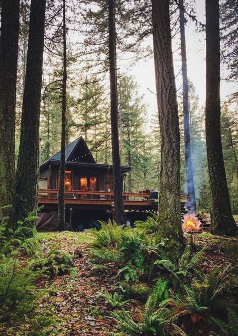 Treehouse Living, Oregon House, Ecological House, Treehouse Cabins, Tree House Plans, Forest Cottage, Cabin Tiny House, Forest Cabin, Little Cabin