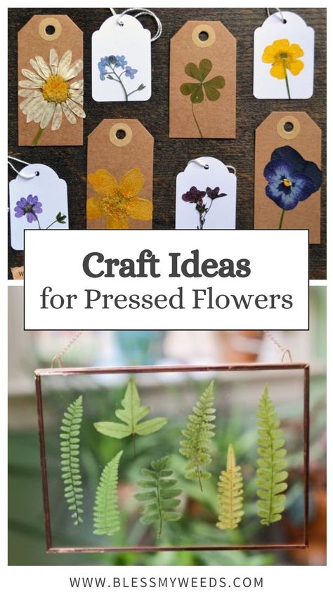 Get inspired with these creative craft ideas for using pressed flowers. Perfect for DIY projects, these crafts add a touch of nature to your home decor. Try these fun and beautiful ideas today! Using Pressed Flowers, Things To Make From Nature, Uses For Dried Flowers, Herbal Crafts Ideas, Crafts With Fresh Flowers, Flower Press Crafts, Artisan Crafts Handmade, Pressed Flower Crafts Projects, Simple Nature Crafts