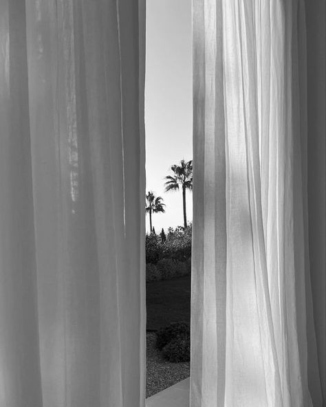 Marguerite Duras, Sea Wallpaper, Black And White Aesthetic, Black N White, White Aesthetic, Black Aesthetic, Summer Aesthetic, Dark Aesthetic, Palm Trees