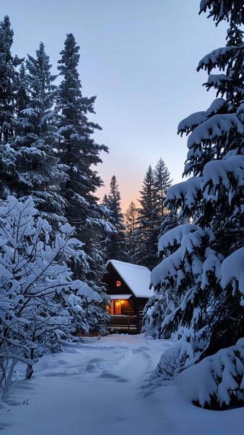 forestduck Outdoor Winter Aesthetic, Snowy Cabin Aesthetic, Winter Day Aesthetic, Winter Time Aesthetic, Winter Scenes Photography, Winter Season Aesthetic, Winter Cabin Aesthetic, Winter Vibes Cozy, Alcohol Photography