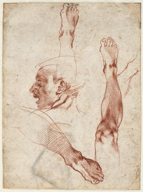 For the first time, a cache of 25 rare Michelangelo drawings, nearly all of them double-sided, from the collection of Queen Christina of Sweden, is headed to the US. Michelangelo Sculpture, Michelangelo Art, Tattoo Samples, Paul Rubens, Master Drawing, Cleveland Museum Of Art, Figure Sketching, Sistine Chapel, Figure Study