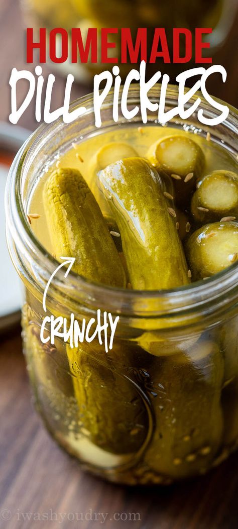 Canned Pickles Recipe, Canned Dill Pickles, How To Pickle Cucumbers, Pickle Cucumbers, Canning Pickles Recipe, Homemade Dill Pickles, Dill Pickles Recipe, Garden Cucumbers, Easy Pickling Recipes