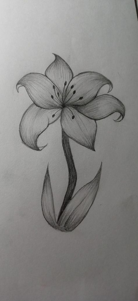 Natural Drawing Ideas, Small Flower Sketch, Pencil Sketch Flowers Simple, Flower Sketches Simple Pencil, Realistic Drawings For Beginners, Grey Scale Drawing, Butterfly On Flower Drawing, Butterfly Drawing Aesthetic Pencil, Leonardo Da Vinci Dibujos