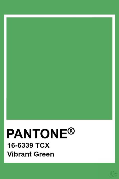 Kelly Green Color Palette, Poster Design Green, Pantone Tcx, Pantone Green, Purple Color Palette, Pantone Color Chart, Pantone Swatches, Pantone Palette, Green Color Palette