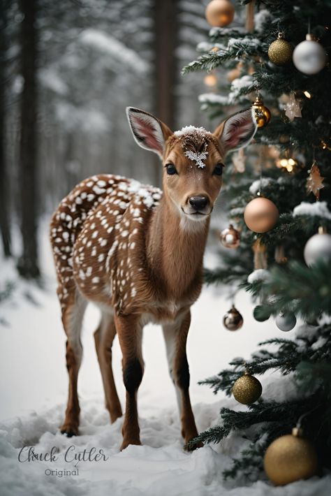 Chuck’s Images of Christmas Classic Christmas Images, Public Domain Christmas Images, Christmas Aesthetic Photography, Pretty Christmas Wallpaper, Happy Yuletide, Images Of Christmas, Peaceful Christmas, Winter Christmas Scenes, S Images