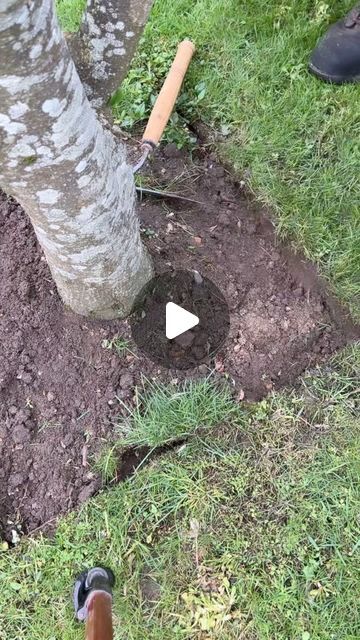 Alexander hayden on Instagram: "Satisfying lawn edging ! How to creat a square edge around a tree using a straight piece of wood. #satisfying #lawn #lawnedging #satisfyingvideos #wood #tips #howto #ideas #trasformation #lawncare #lawnedging #spring #work #garden" Square Tree Edging, Borders Around Trees Ideas, Lawn Edge Ideas, Edging Around Trees Ideas, Tree Edging Ideas, Around Tree Ideas, Diy Landscape Edging, Wood Landscape Edging, Wooden Garden Edging