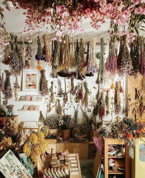 Herbal Shop, Apothecary Decor, Herb Shop, Magia Das Ervas, Herbal Apothecary, Herbal Magic, Witch Aesthetic, Practical Magic, Green Witch