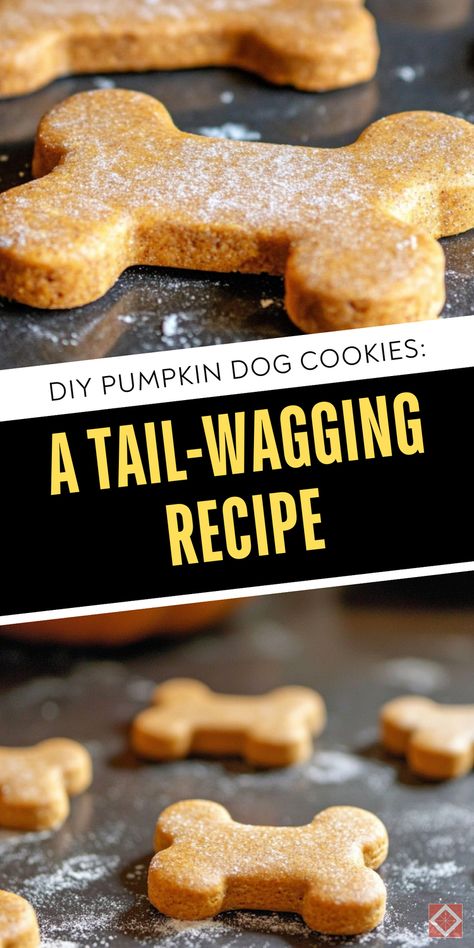 DIY pumpkin dog cookies that are sure to please! Follow this easy recipe to make homemade dog cookies that will get tails wagging. Save this pin for later and click to discover the perfect pumpkin dog treat recipe! Dog Cookies With Pumpkin, Dogs Cookies Recipe, Dog Cookies Recipe Easy Pumpkin, Pumpkin Dog Cookies Recipe, Dog Friendly Cookie Recipe, Dog Pumpkin Cookies, Pumpkin Puppy Treats, Diy Dog Cookies Recipes, Doggie Cookies Recipe