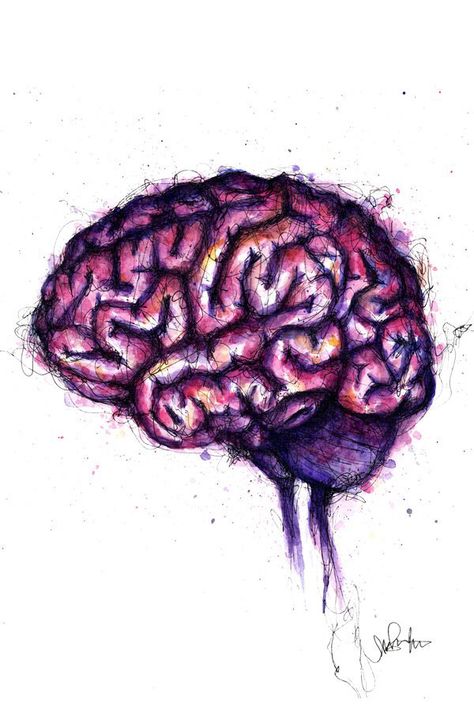 Cool brain watercolor and ink painting. Art print 5x7 8x10, perfect for doctor office wall art, graduation gift, present for neuron student or science nerd. // by 1flychicken creations #etsy #anatomy #neurology #psychology Miss You Artwork, Psychological Paintings, The Brain Art, Brain Pictures, Brain Painting, Neurology Art, Brain Drawing, Brain Illustration, Brain Art