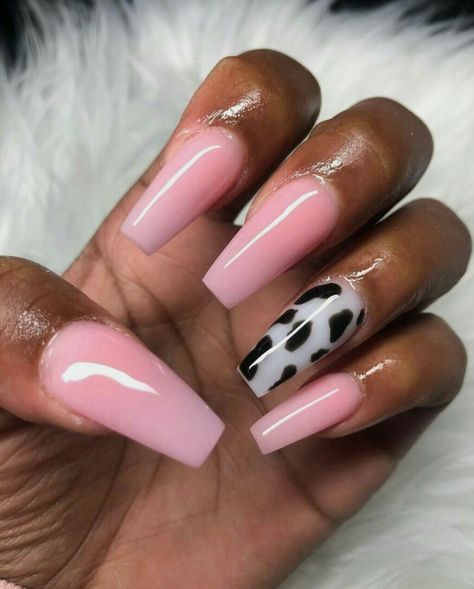 White Nails And Pink, Cow Nails Acrylic, Nails With Cow Print, Pink Cow Nails, Cow Print Nails, Black And White Nails, Cow Nails, Cute Acrylic Nail Designs, Print Nails