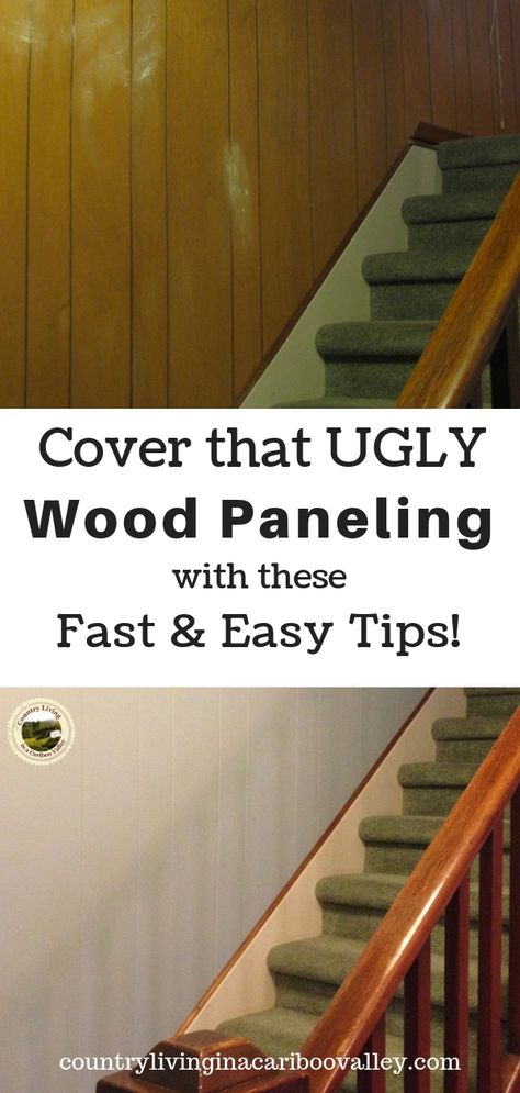 A fast and easy home project. Tips and tricks for painting old grooved wood paneling. Update your home; easy to do one room a day! Brighten your home by painting wood paneling. #DIY #homedecor #homeproject Painting Over Paneling, Wood Paneling Makeover, Paneling Makeover, Film Decor, Painting Wood Paneling, Painting Wood, Painted Paneling, Wood Panel Walls, Wooden Storage