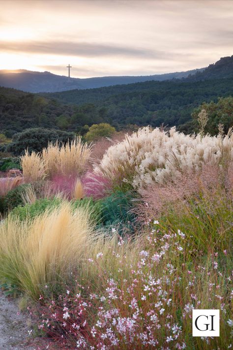 Designer Álvaro Sampedro's garden in Spain Flowering Grasses, Garden Design Grasses, Landscape Design Drought Tolerant, Plants For Garden, Wildflower Garden Border Ideas, Mixed Flower Garden, Natural Planting Design, High Grass Garden, Prairie Style Garden