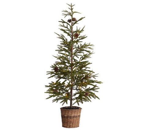 Faux Lit Pine Tree in Basket | Pottery Barn Best Artificial Christmas Trees, Rustic Baskets, Spruce Christmas Tree, Holiday Lookbook, Tinsel Tree, Holiday Arrangement, Faux Snow, Construction Crafts, Citrus Trees