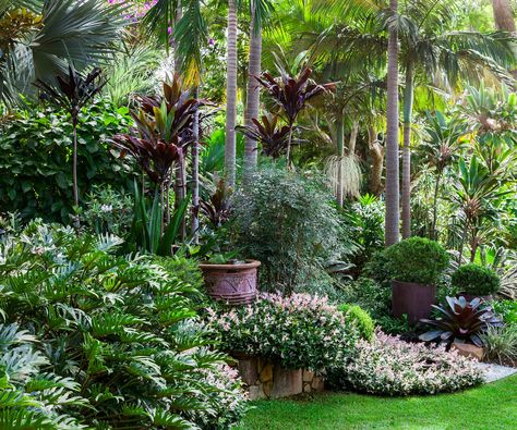 Journey through an inspiring, lushly planted garden. Shed Inspiration, Tropical Backyard Landscaping, Trachelospermum Jasminoides, Balinese Garden, Tropical Landscape Design, Tropical Garden Design, Tropical Backyard, Have Inspiration, Ground Cover Plants