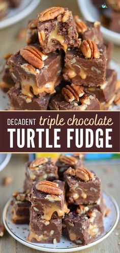 Turtle Fudge, Holiday Fudge Recipes, Best Fudge Recipe, Chocolate Turtle, Holiday Fudge, Nutella Fudge, Homemade Fudge Recipes, Mom On Timeout, Chocolate Turtles