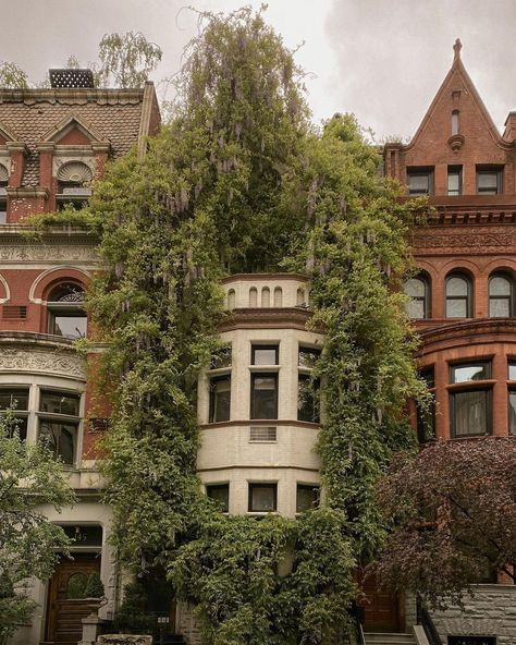 New York City Apartment, New York Photography, Nyc Life, New York City Travel, Cottage Core Aesthetic, Ny City, Beautiful Streets, Upper West Side, Welcome To The Jungle