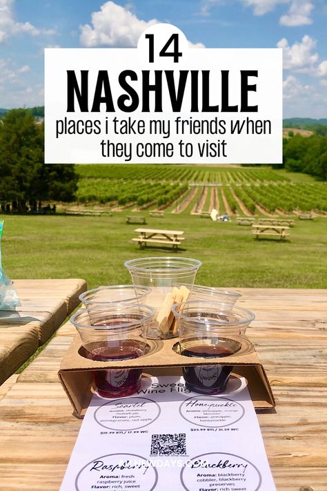 Outdoor Things To Do In Nashville, Where To Go In Nashville, Things To Do Outside Of Nashville, Nashville Tennessee Speakeasy, White Limousine Nashville, What To See In Nashville Tn, Things To Do In Nashville During The Day, Things To Do Near Nashville Tn, Nashville Tennessee Itinerary