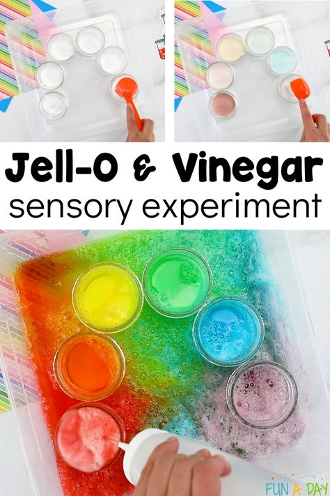 Jello and Vinegar Experiment for Scented Science Fun Jelly Bean Science Experiment Preschool, Science Experiences For Preschoolers, Sensory Themes, Science Math Activities, Jello Crafts, Jello Sensory Play, Science Experiments Kids Preschool, Rainbow Experiment, Christmas Science Experiments